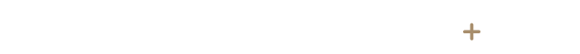 光ブロンズ+テレビ